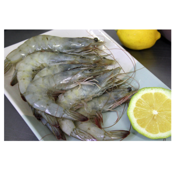 head on prawns 21 to 25