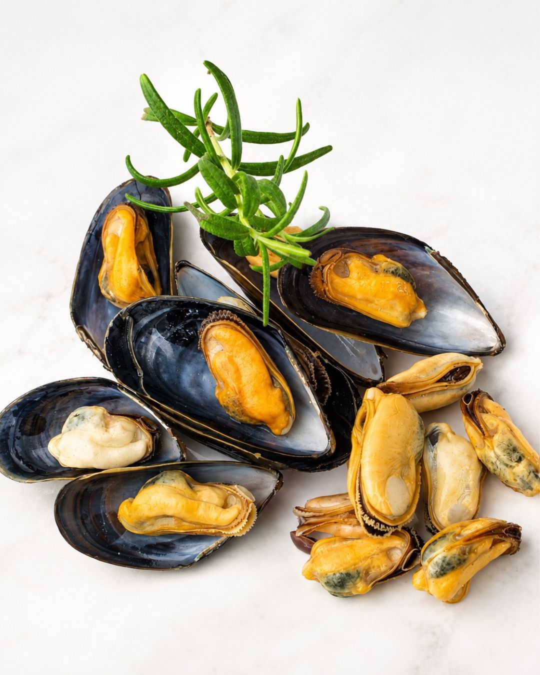 Mussels & Shellfish
