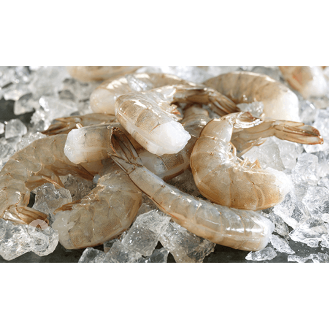 Raw shrimp prawns on a bed of ice, photographed in a clean studio-style close-up.