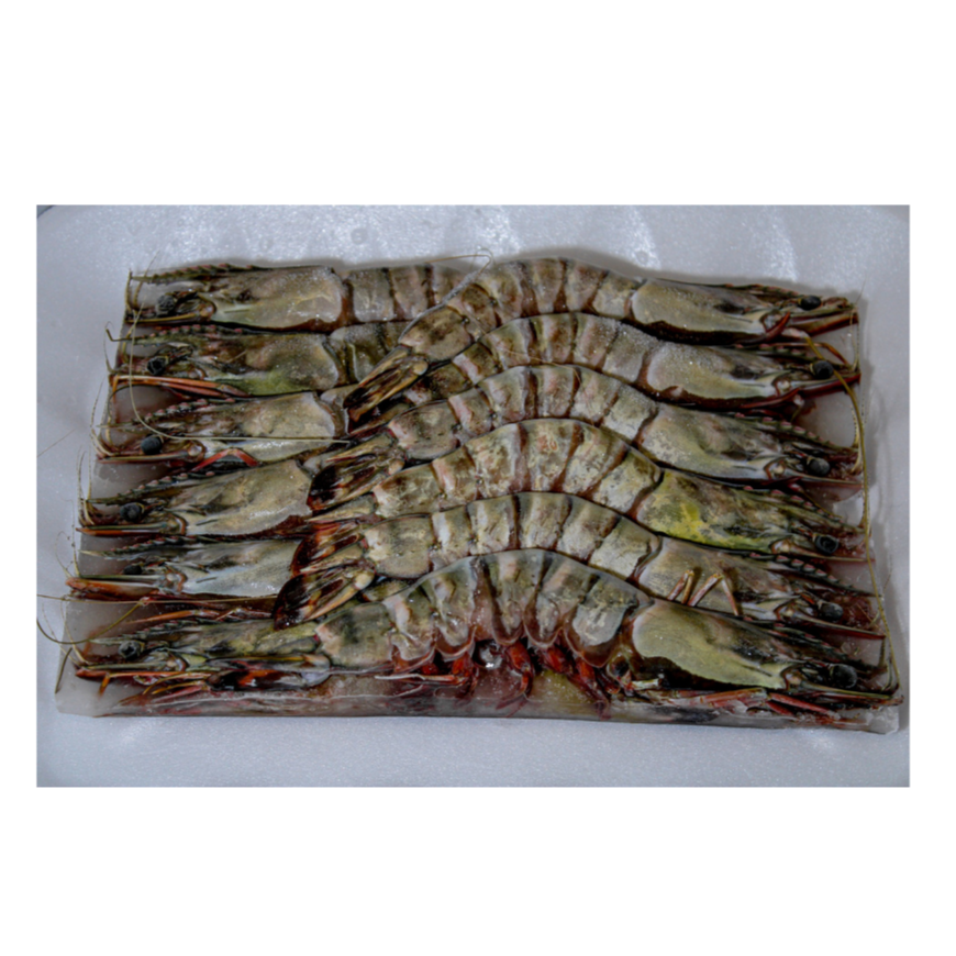 Head On 16 20 Prawns 800g Shami Seafood head-on-16-20-prawns-800g-shami-seafood
